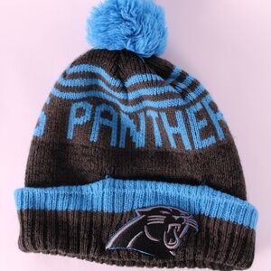 0368 Carolina Panthers Pom Beanie — NFL Team Apparel
